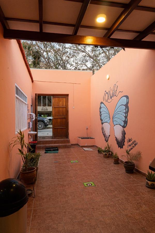 Wild Olive Guest House Ика Екстериор снимка