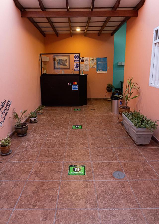 Wild Olive Guest House Ика Екстериор снимка