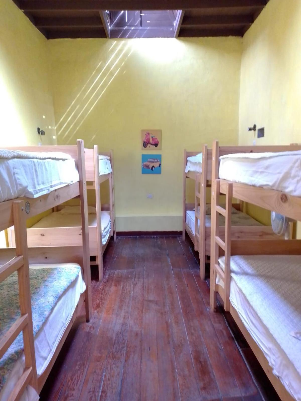Wild Olive Guest House Ика Екстериор снимка